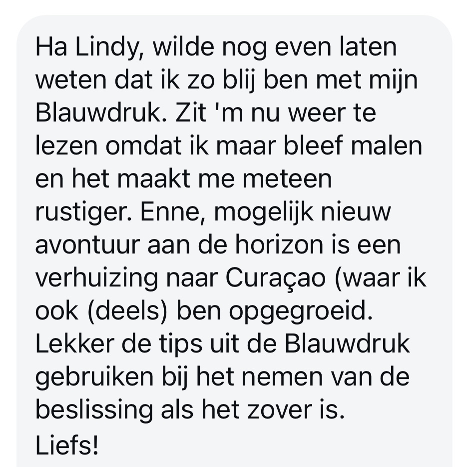 BlauwdrukReview3 blauwdruk review 3